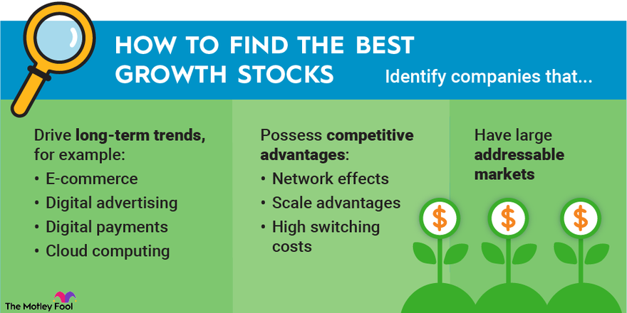 An infographic listing criteria for how to find the best growth stocks and companies on the market.