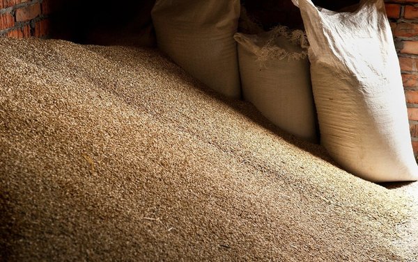 Pile of grain next to several bags of grain.