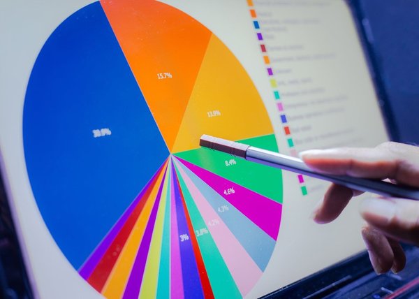 A person pointing to a pie chart with lots of slices.