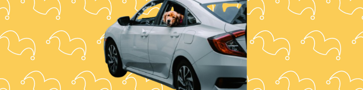 A white car with a dog hanging its head out the back window