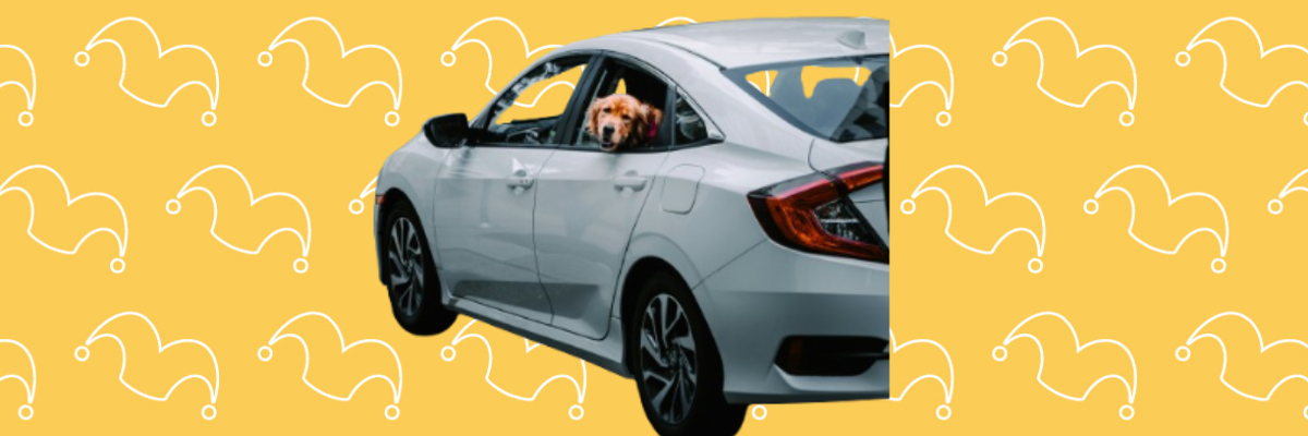 A white car with a dog hanging its head out the back window