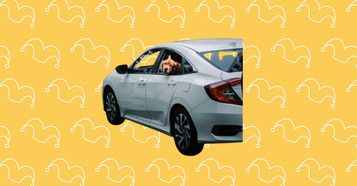 A white car with a dog hanging its head out the back window