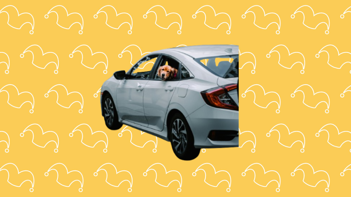 Best Car Insurance Companies for 2026 | The Motley Fool