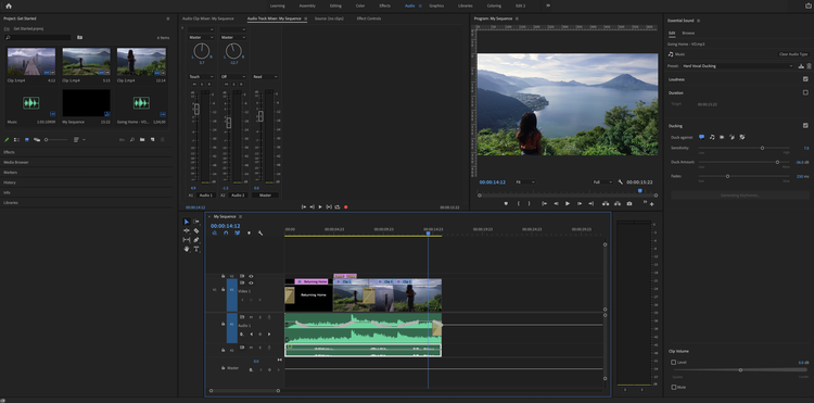 Audio workspace in Premiere Pro.