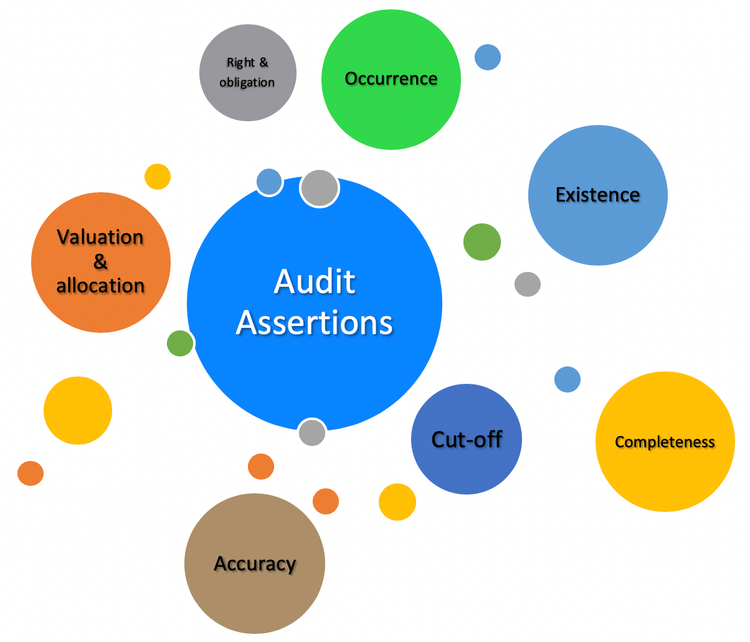 audit-assertions-for-purchases-damianafepalmer