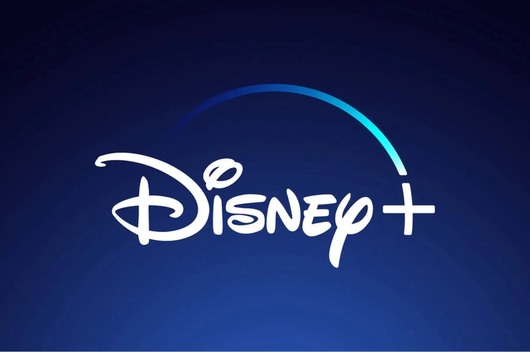 Disney's logo for its new streaming service, Disney Plus.