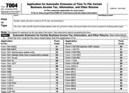 Tax Return Extension 2024 Lari Silvia