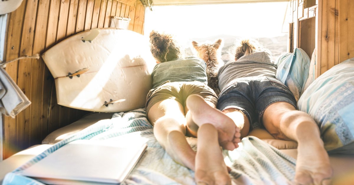 Young couple and their dog lying in a camper van next to a surfboard.