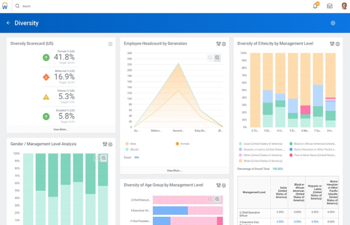 Workday's diversity dashboard.