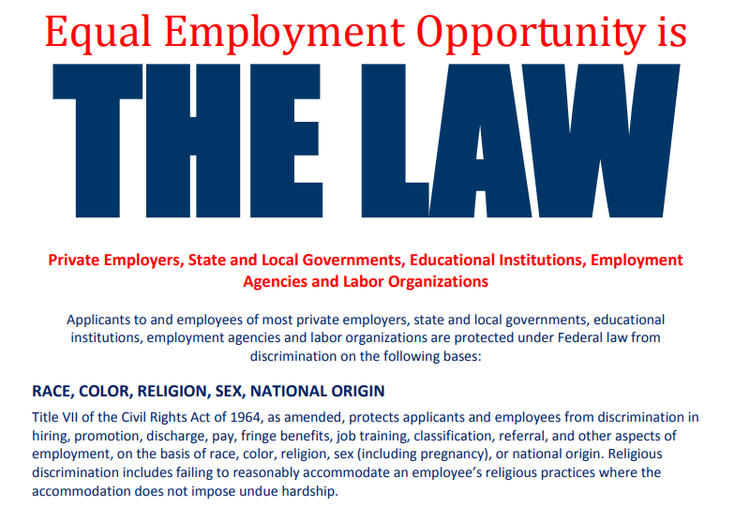A SMB Guide to Equal Employment Opportunity (EEO) in 2024