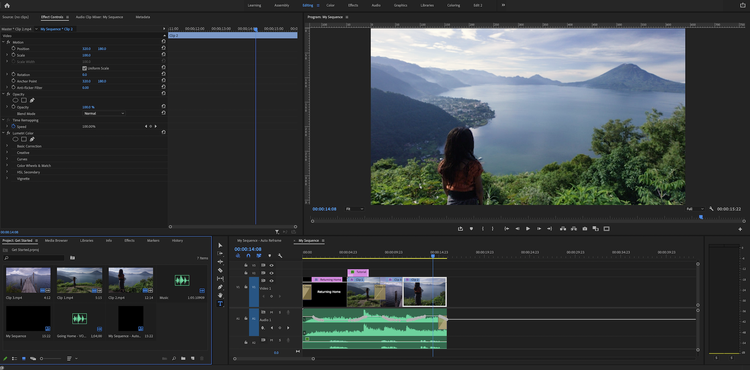The Editing workspace in Premiere Pro.