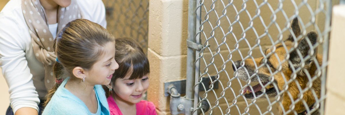 Family picking out a dog at the shelter.