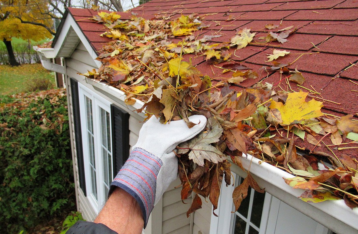 Gloved hand cleaning leaves out of the gutter.