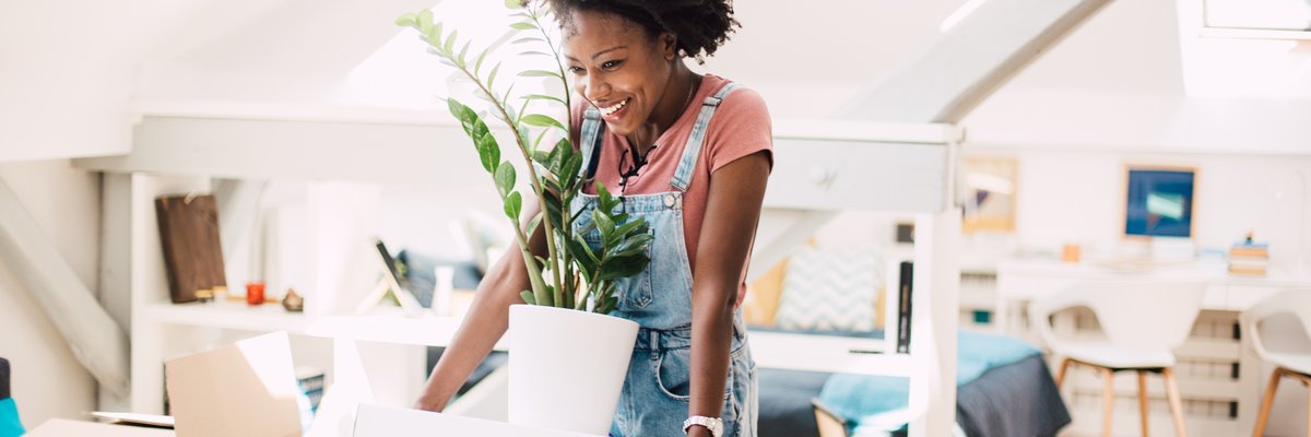 A young adult carries a box of items, including a large plant, into their new house.