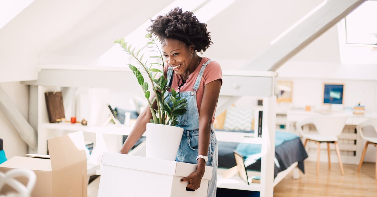 A young adult carries a box of items, including a large plant, into their new house.