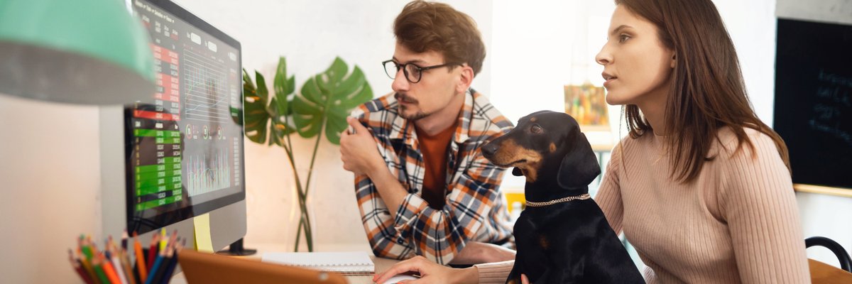 Two young adults with a dog trade crypto together on a desktop computer at home.