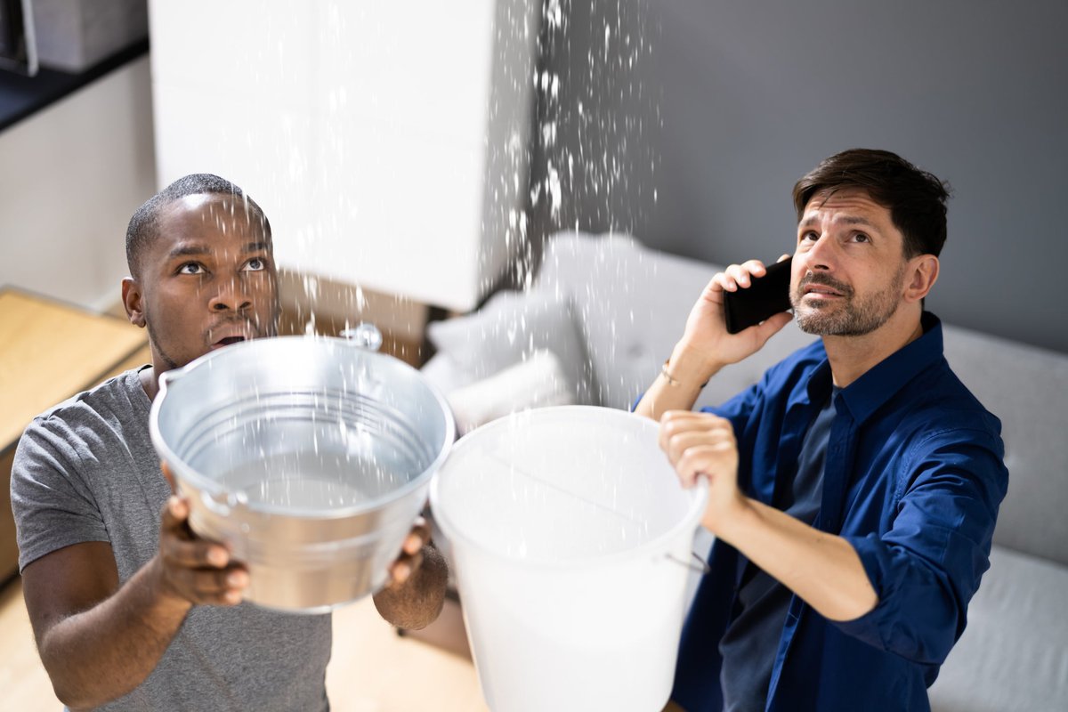 A concerned couple tries to use buckets to catch water dripping from their ceiling.