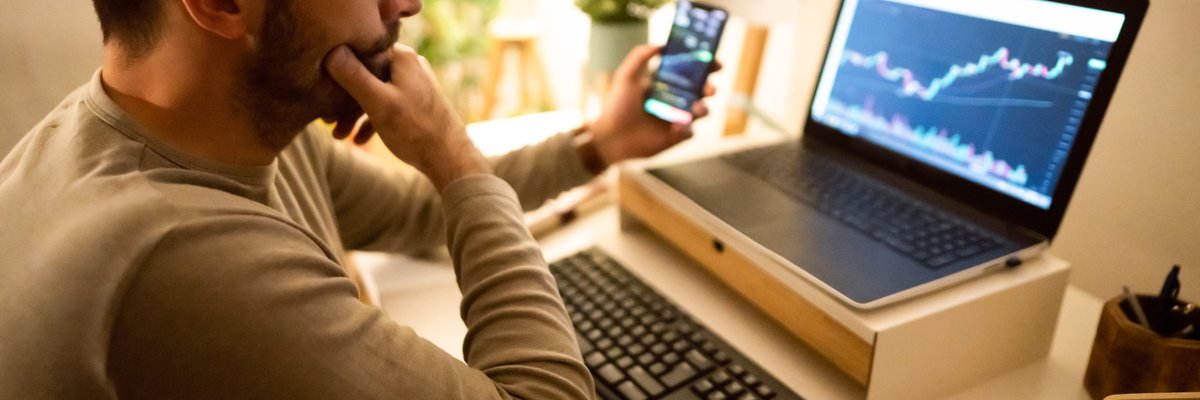 An adult analyzes a crypto graph on their laptop in their home office.