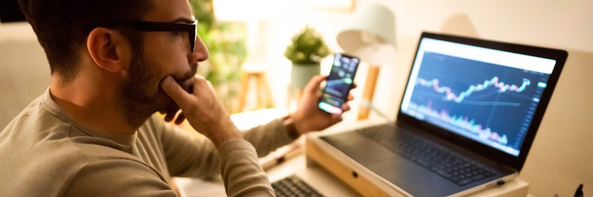 An adult analyzes a crypto graph on their laptop in their home office.