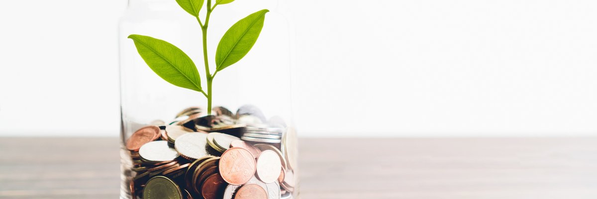 Coins in a glass with a plant growing out of it.