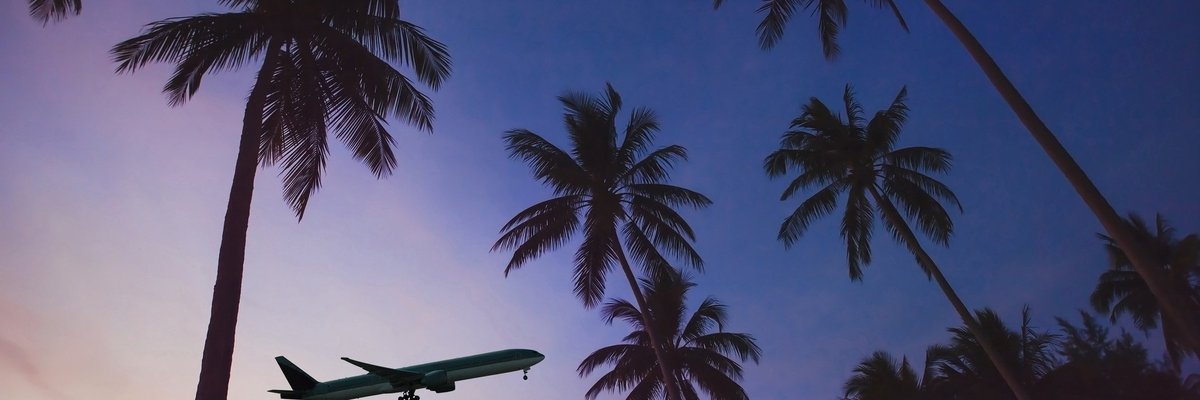 Airplane lifting off over palm trees at sunset