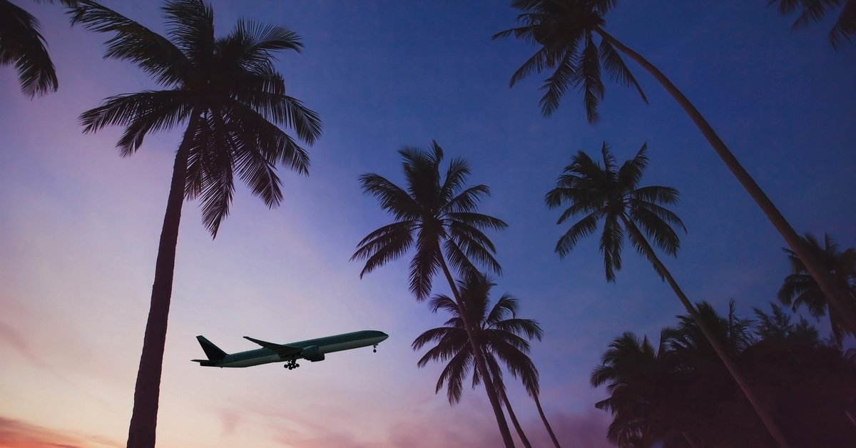 Airplane lifting off over palm trees at sunset