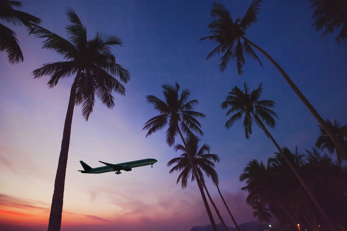 Airplane lifting off over palm trees at sunset