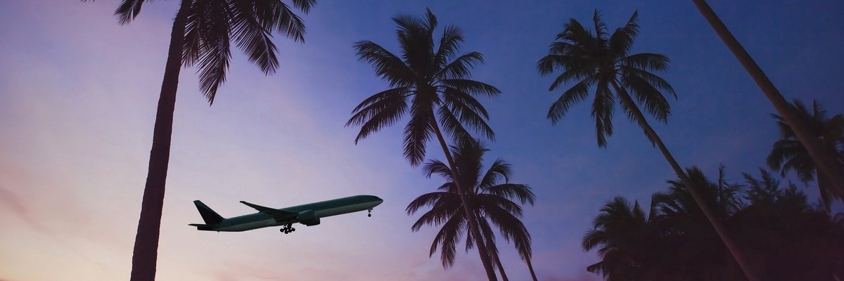 Airplane lifting off over palm trees at sunset