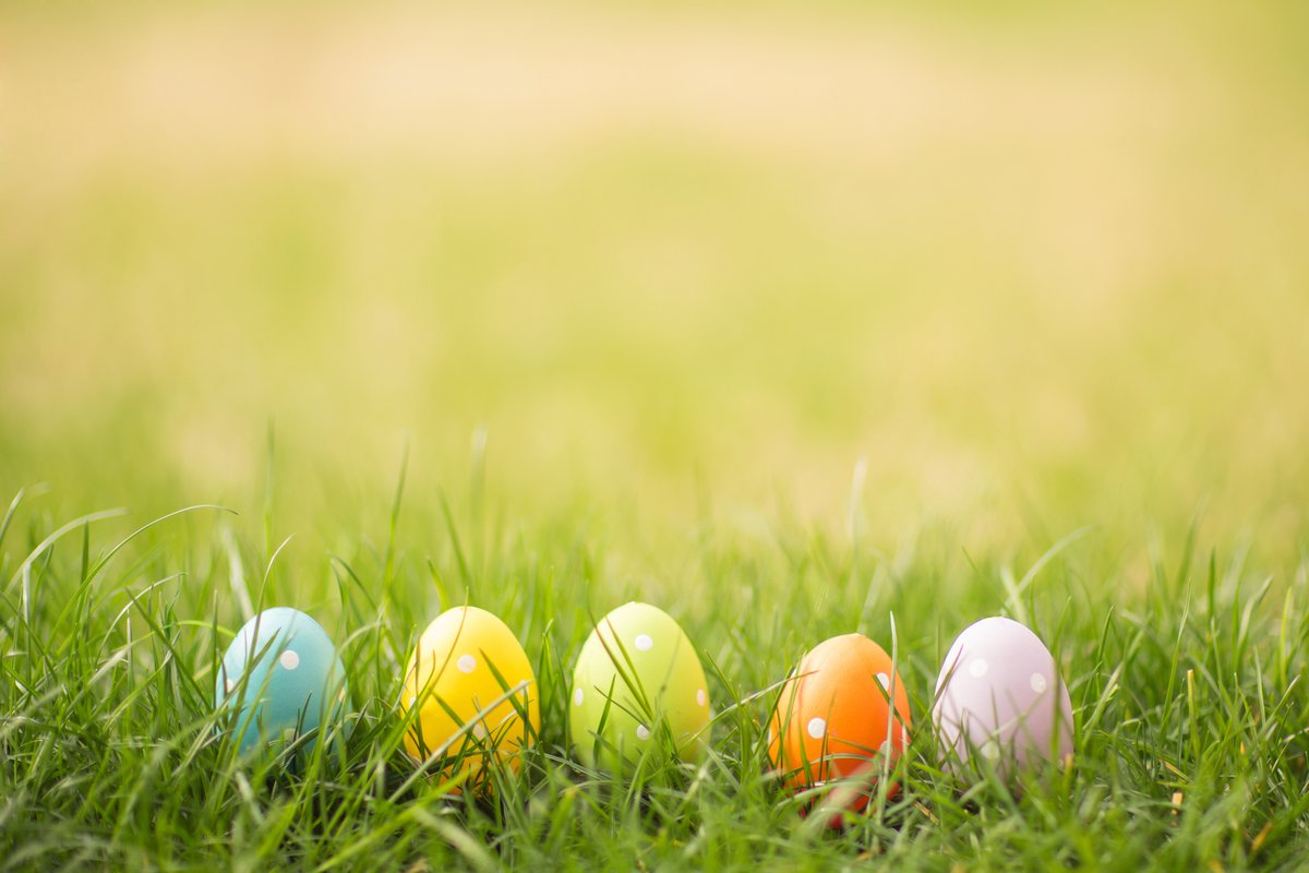 Colorful Easter eggs hiding in the tall grass.