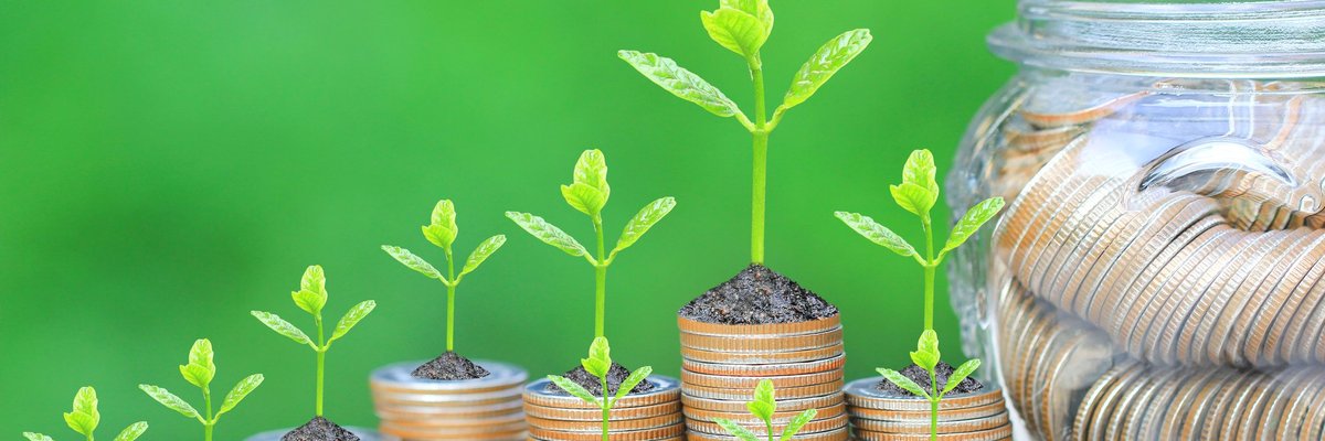 Ascending stacks of coins with green growths sprouting from them.