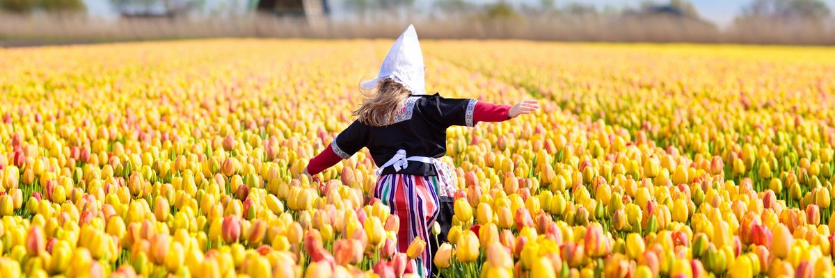 Little Dutch girl running through field of flowers toward windmill.