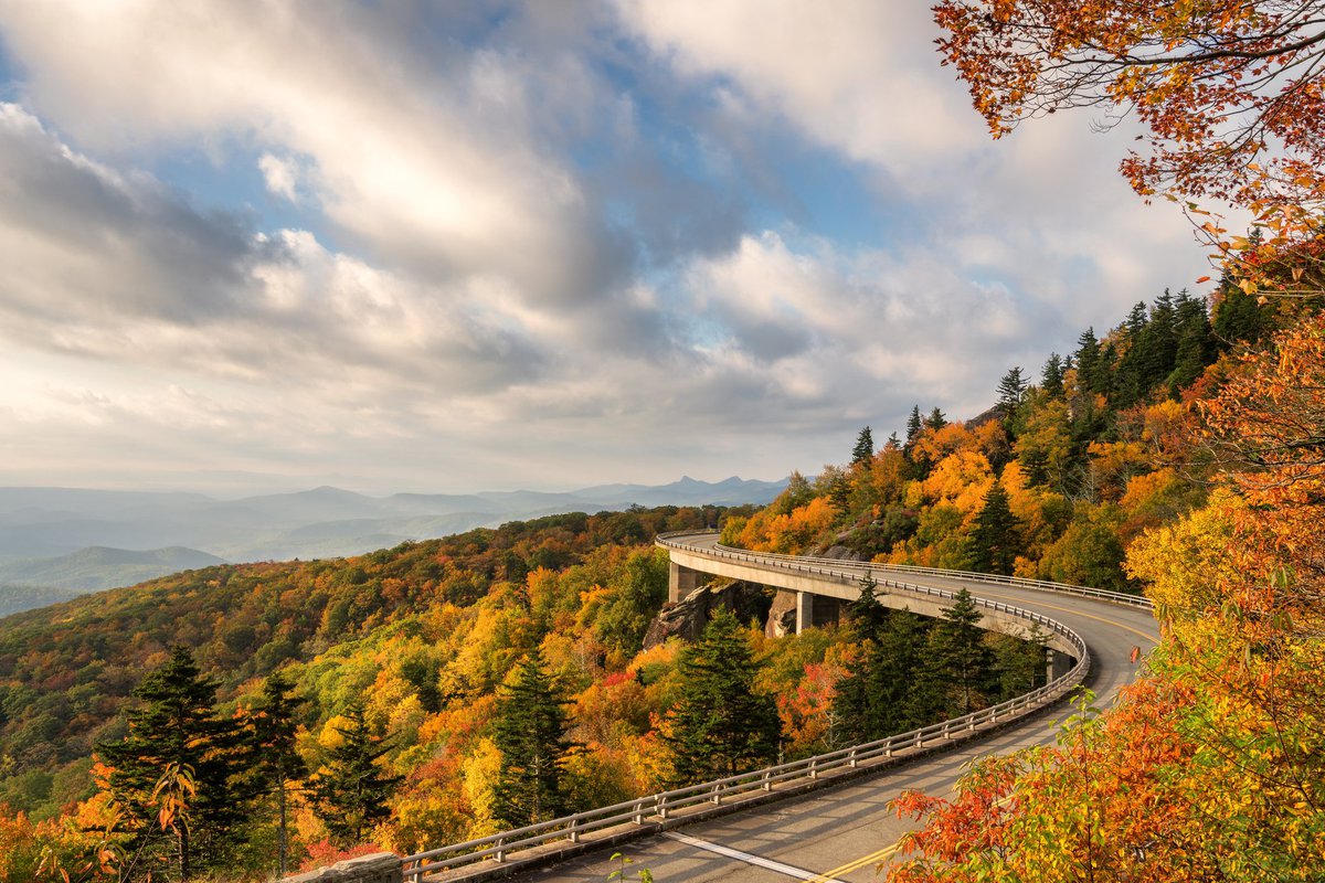 winding road surrounded by fall foliage.