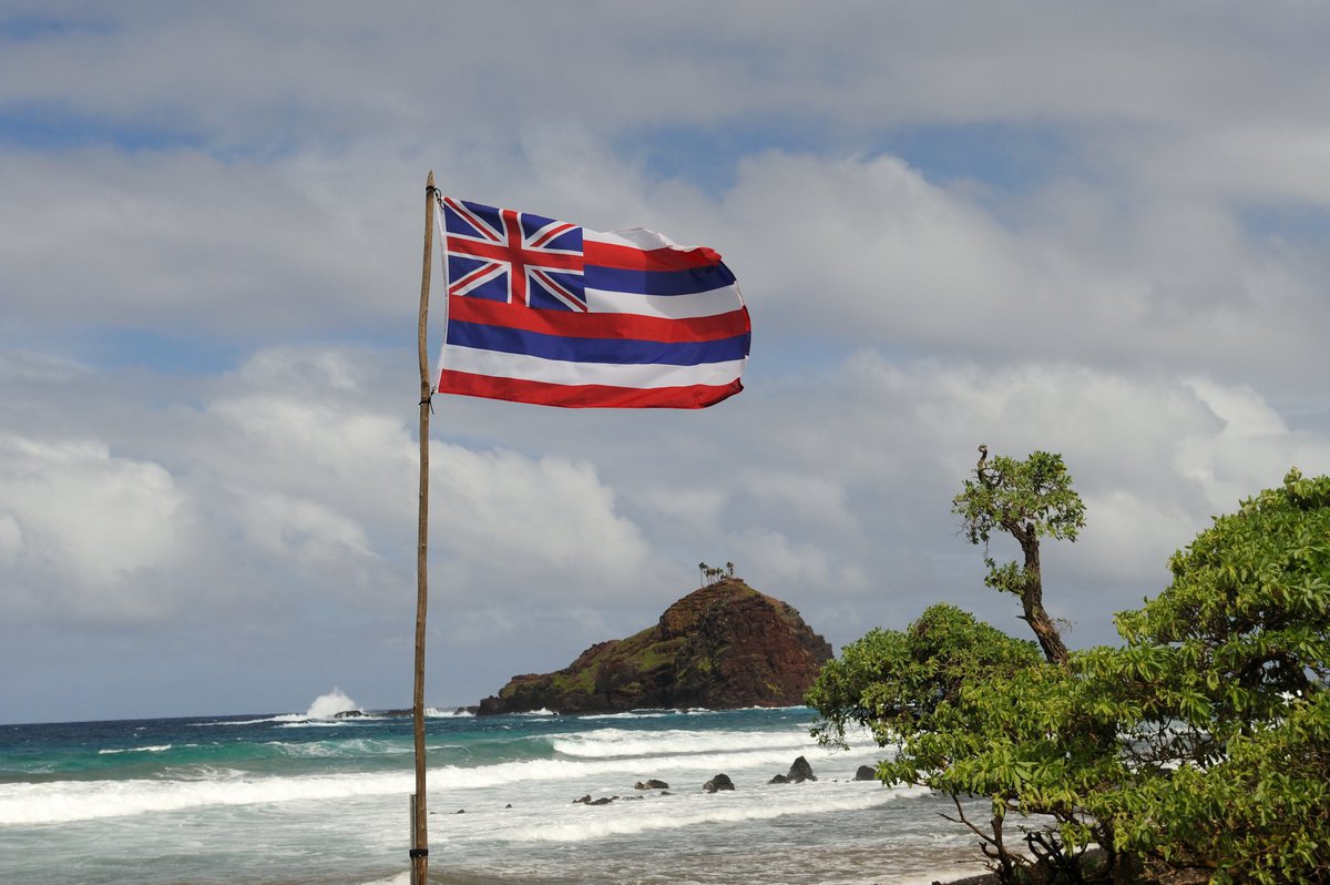 The state flag of Hawaii flying over a a sunny beach.