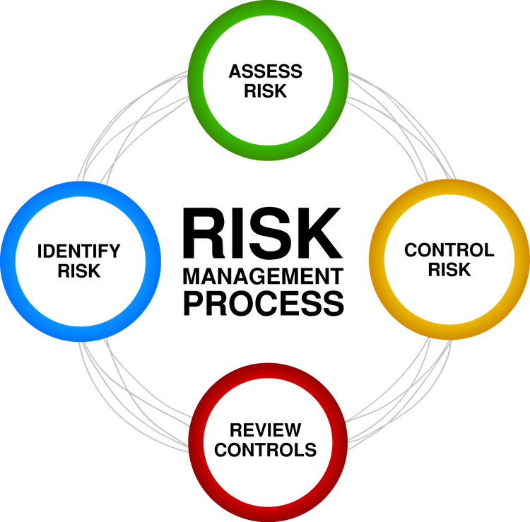 A circular diagram displays the four steps in the risk management process: identify risk, assess risk, control risk, and review controls.