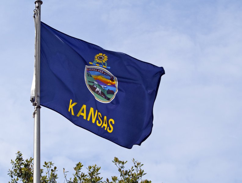 The Kansas state flag flying on a flagpole.