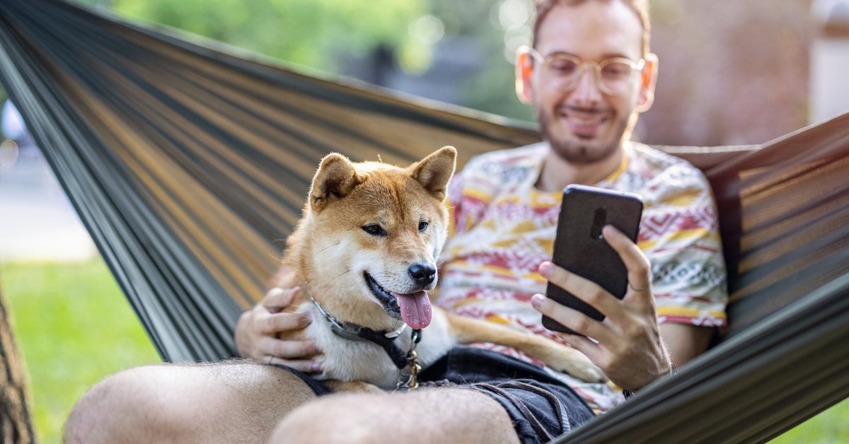 Man on hammock looking at his smartphone while petting his shiba inu.