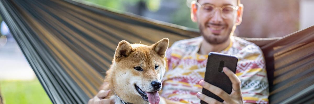 Man on hammock looking at his smartphone while petting his shiba inu.