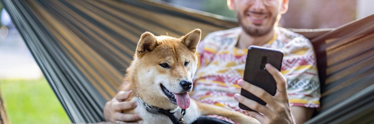 Man on hammock looking at his smartphone while petting his shiba inu.