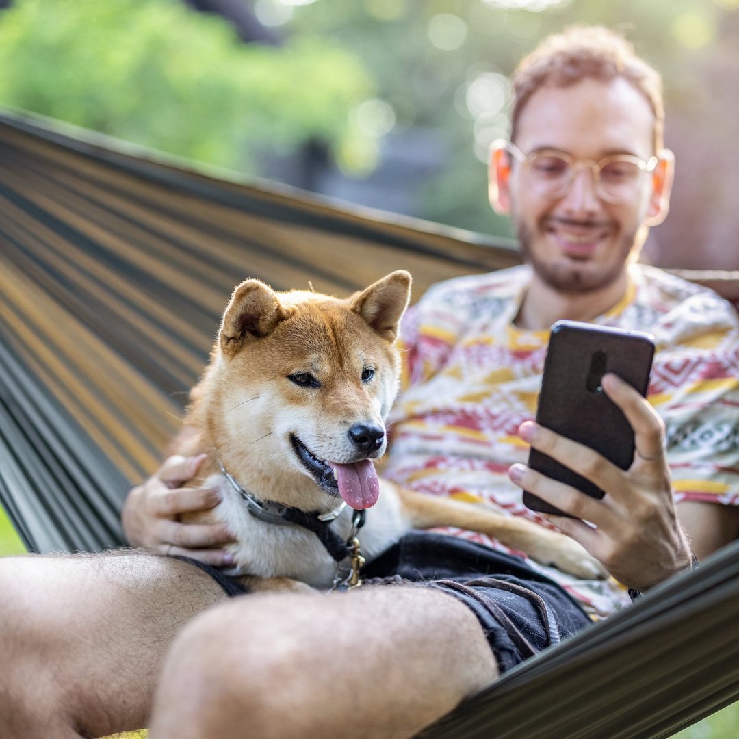 Shiba Inu Founder Deletes Blog and Tweets. Here's Why the Experts Are Concerned About the Token