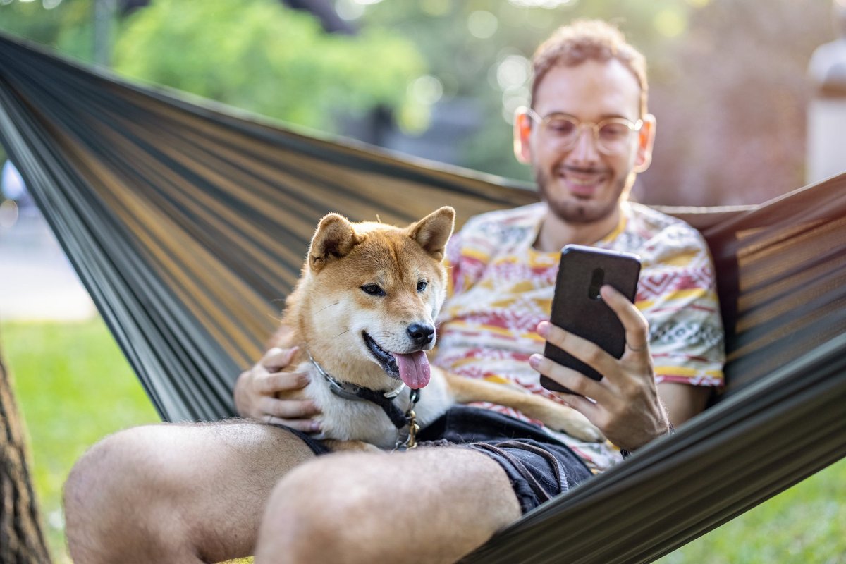 Man on hammock looking at his smartphone while petting his shiba inu.
