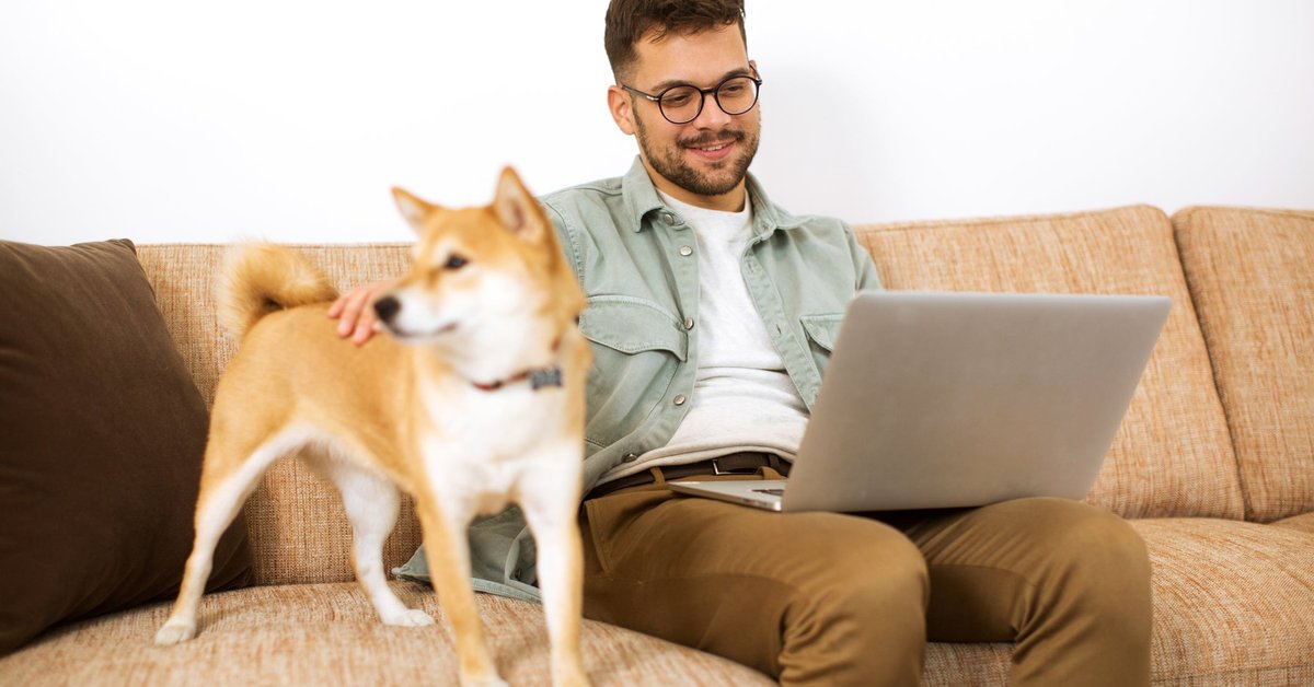 Man using laptop with his Shiba Inu dog beside him on the couch