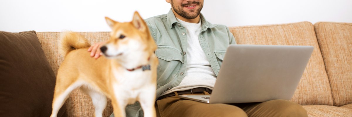 Man using laptop with his Shiba Inu dog beside him on the couch