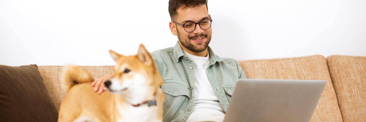 Man using laptop with his Shiba Inu dog beside him on the couch