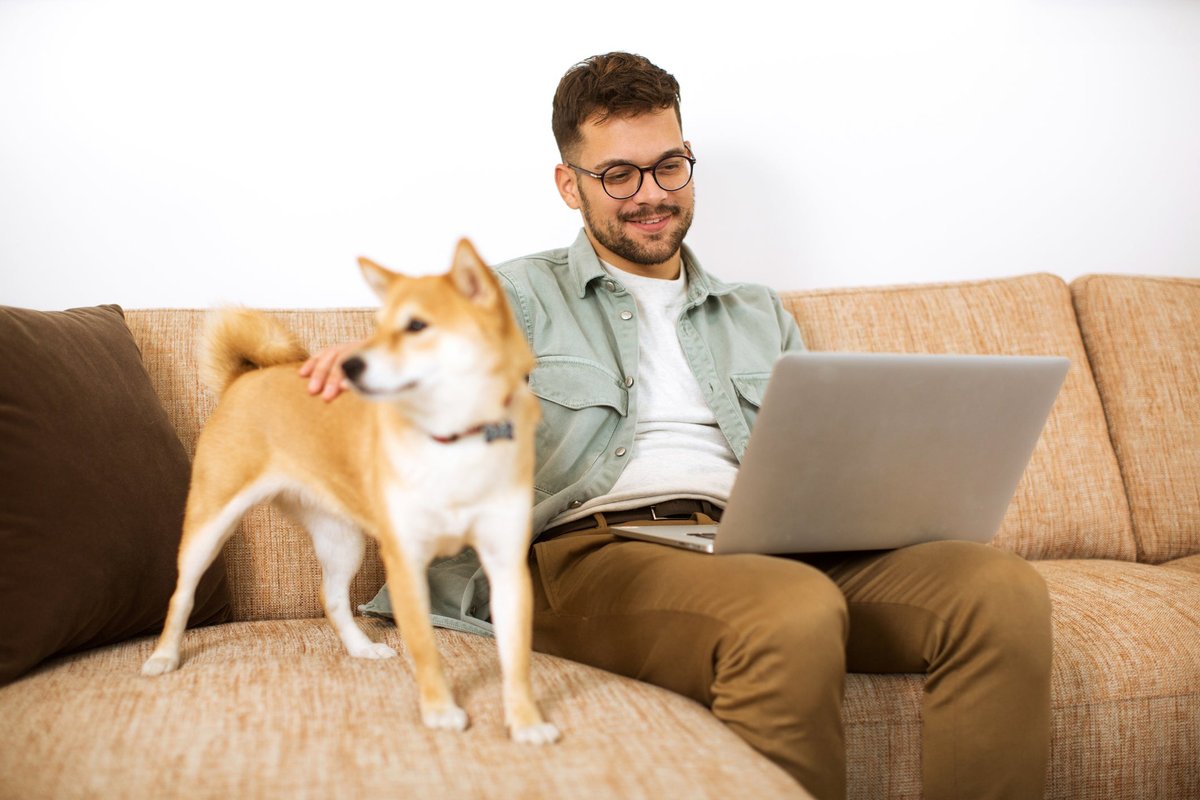 Man using laptop with his Shiba Inu dog beside him on the couch