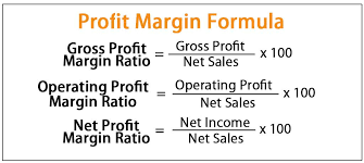 3 profit margin formulas displayed.