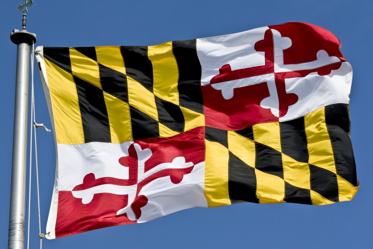 The Maryland state flag waving in the breeze.