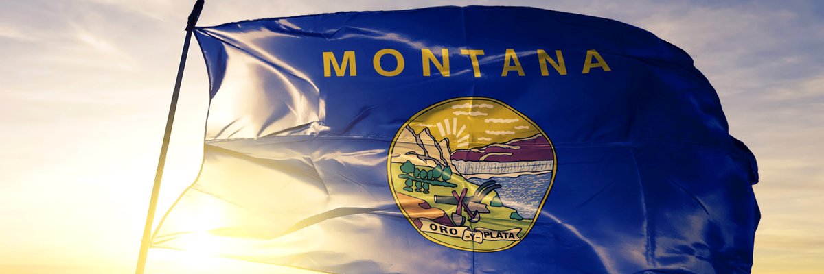 The Montana state flag flying in front of a sunny sky.