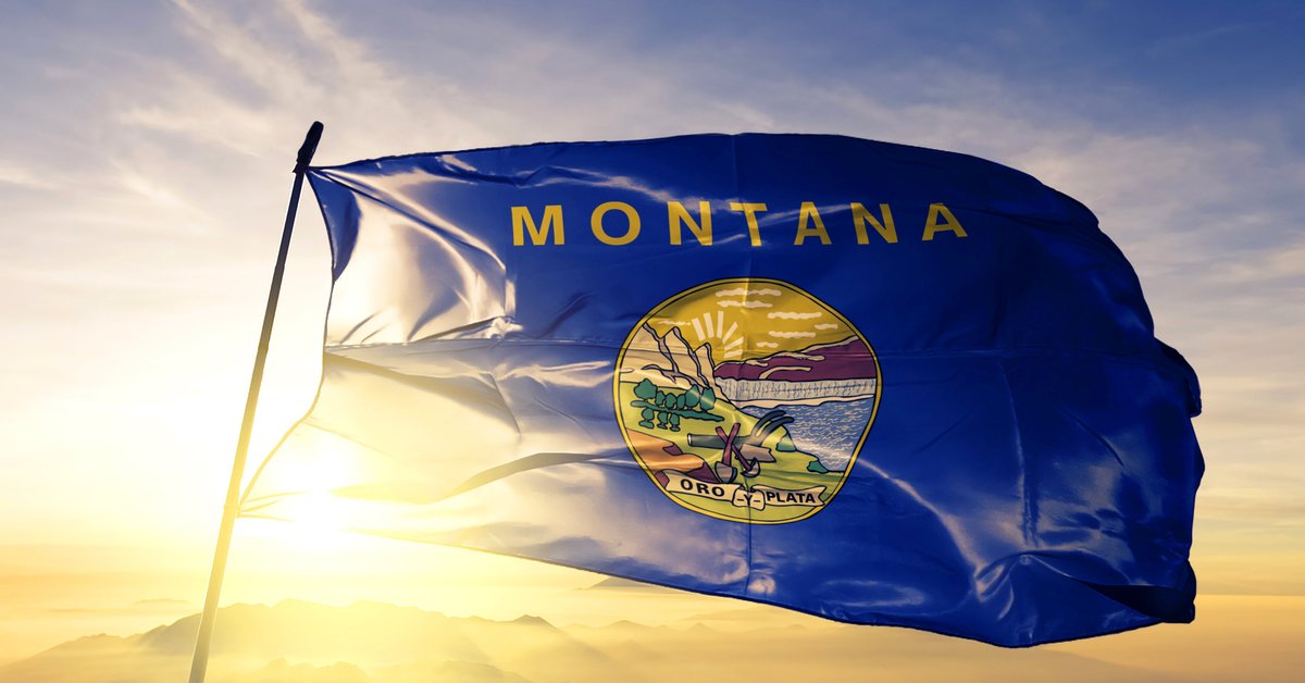 The Montana state flag flying in front of a sunny sky.