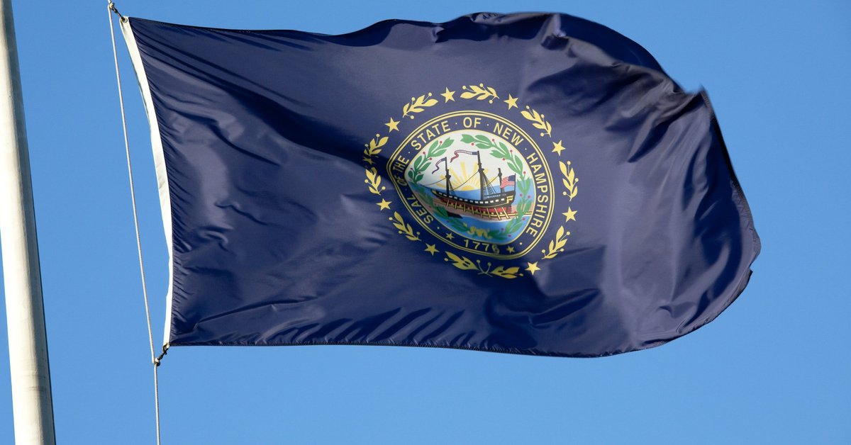 The New Hampshire state flag fluttering in front of a blue sky.