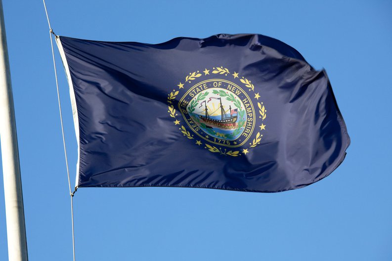 The New Hampshire state flag fluttering in front of a blue sky.